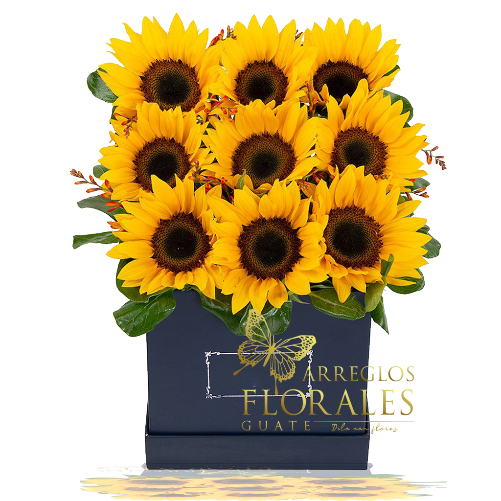 Floristerias Guatemala