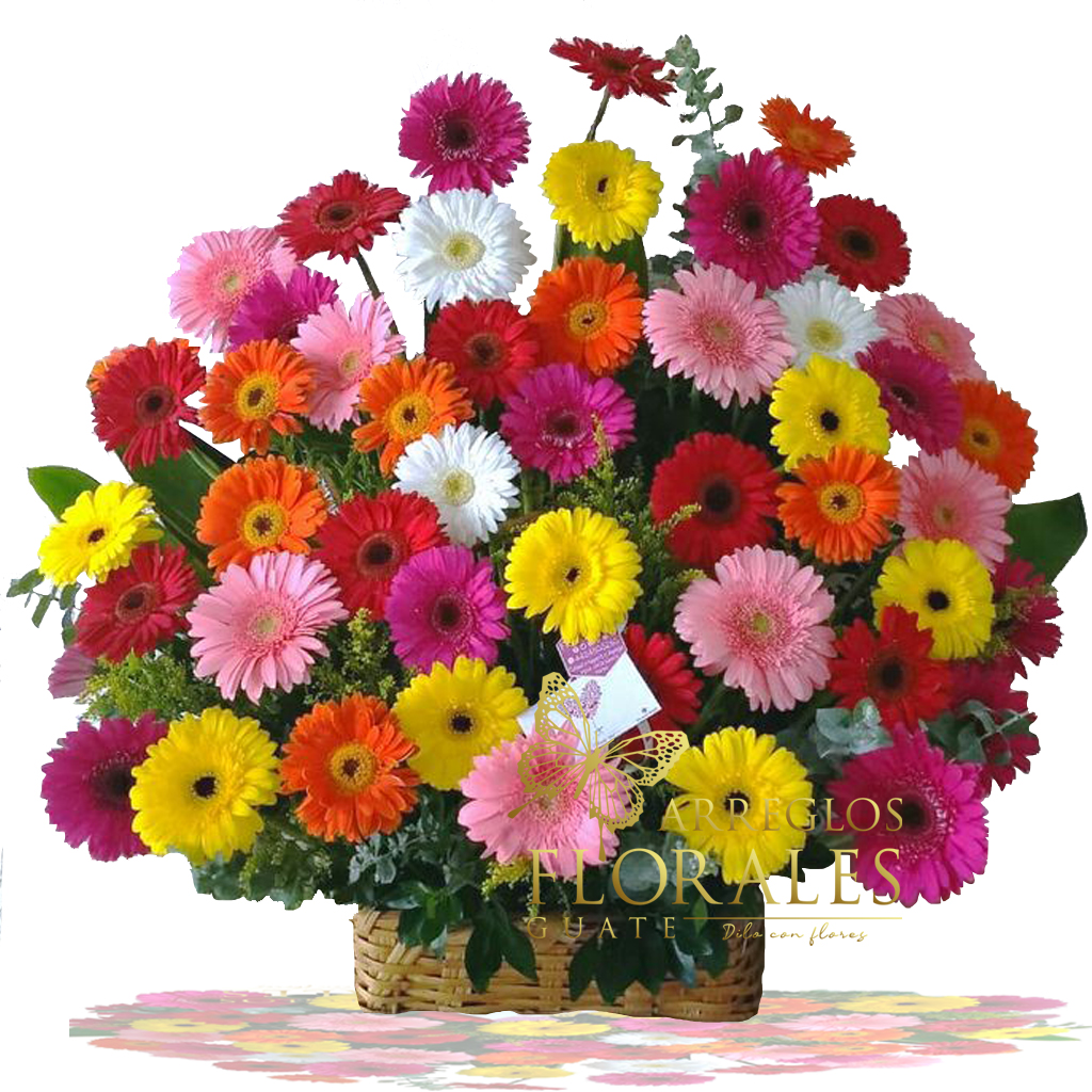 Arreglos Florales de Gerberas