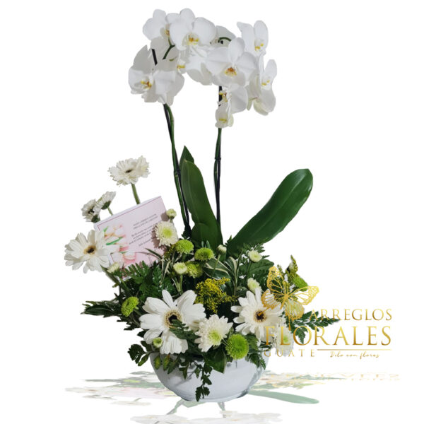 Arreglos florales con orquideas